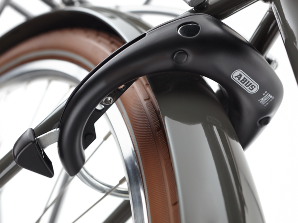 Electra Loft Go! 5i