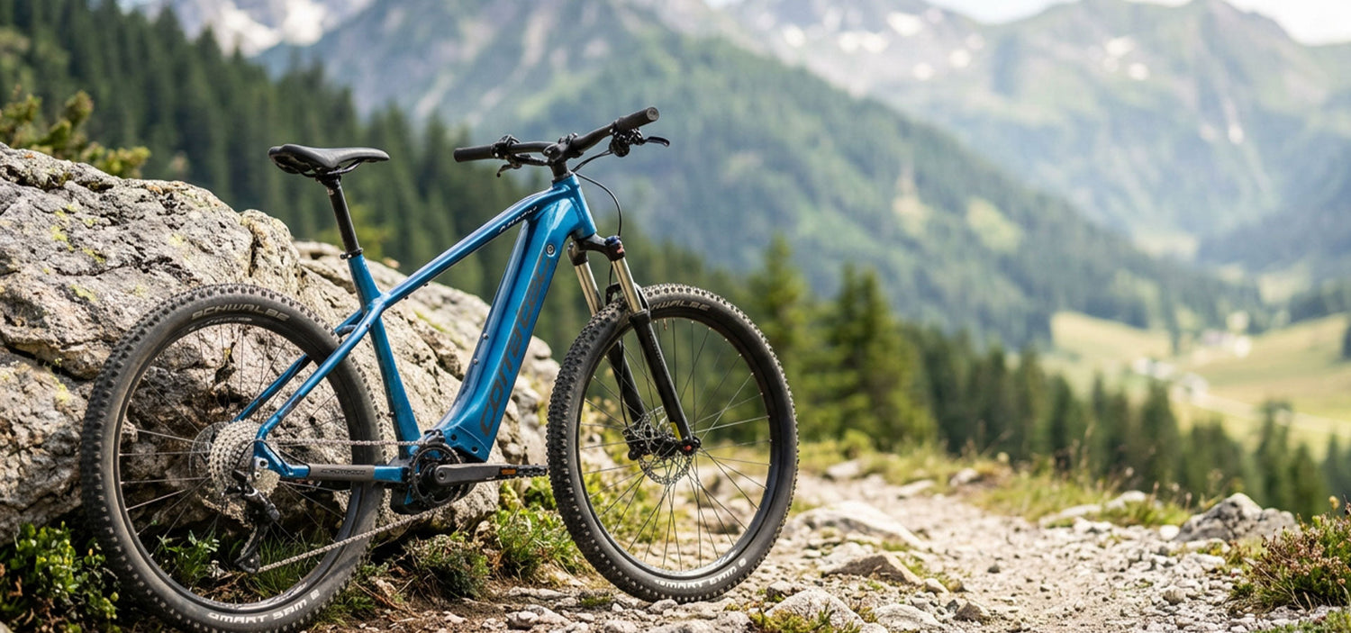 **CORRATEC E-BIKES.** PASSION OF CYCLING.