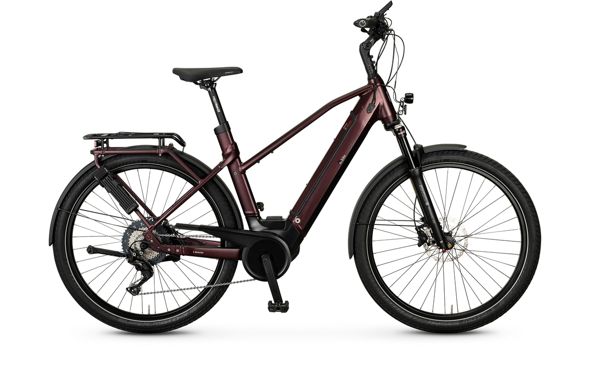 e.bike manufaktur 13ZEHN Trapez