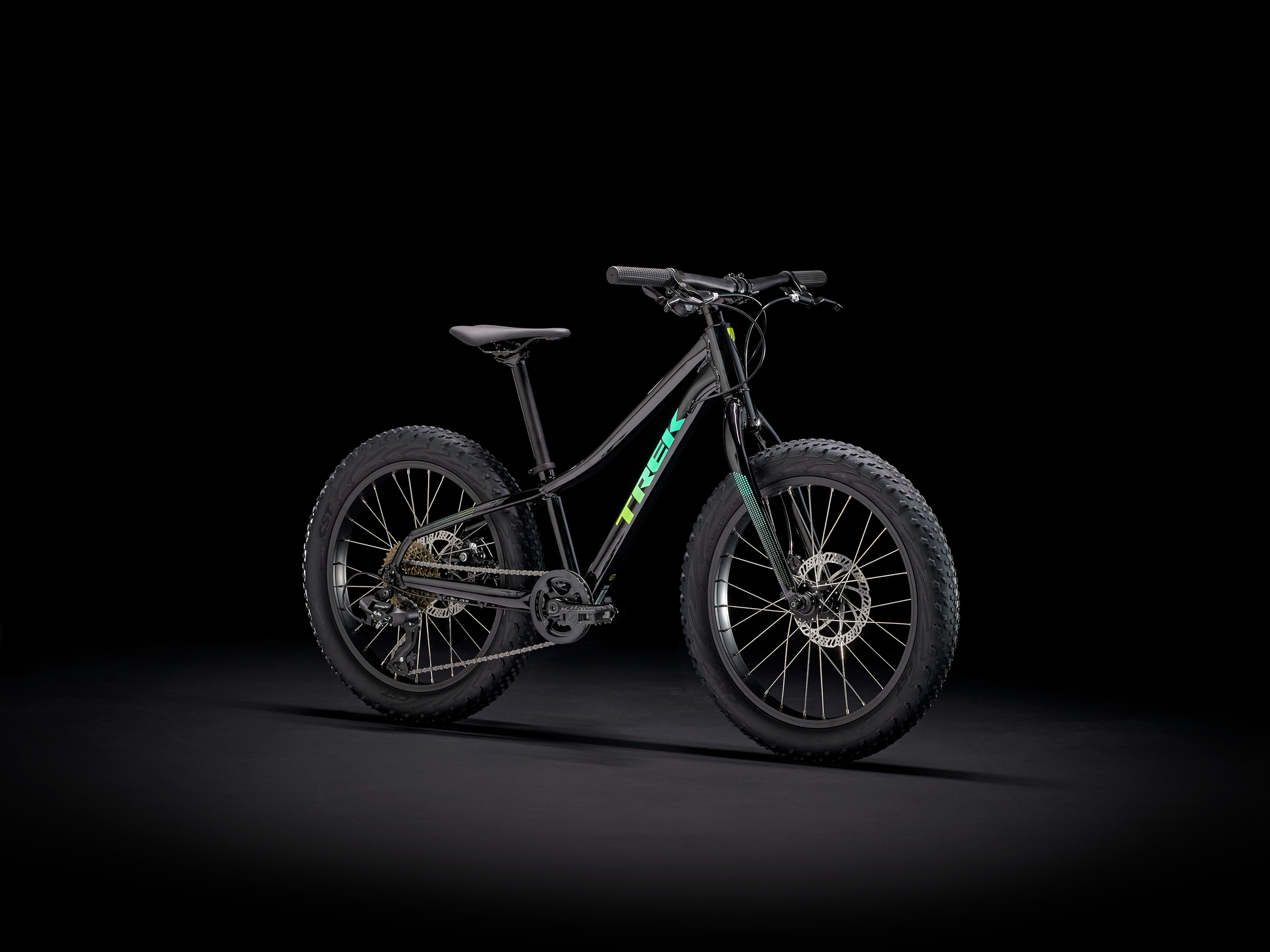 Trek Roscoe 20 