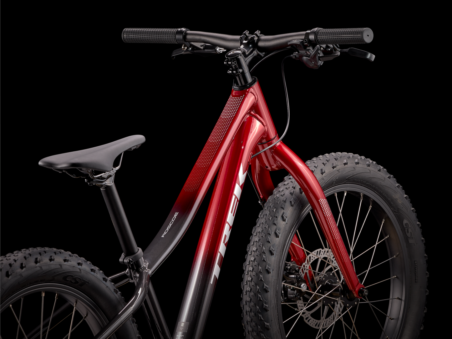 Trek Roscoe 20 