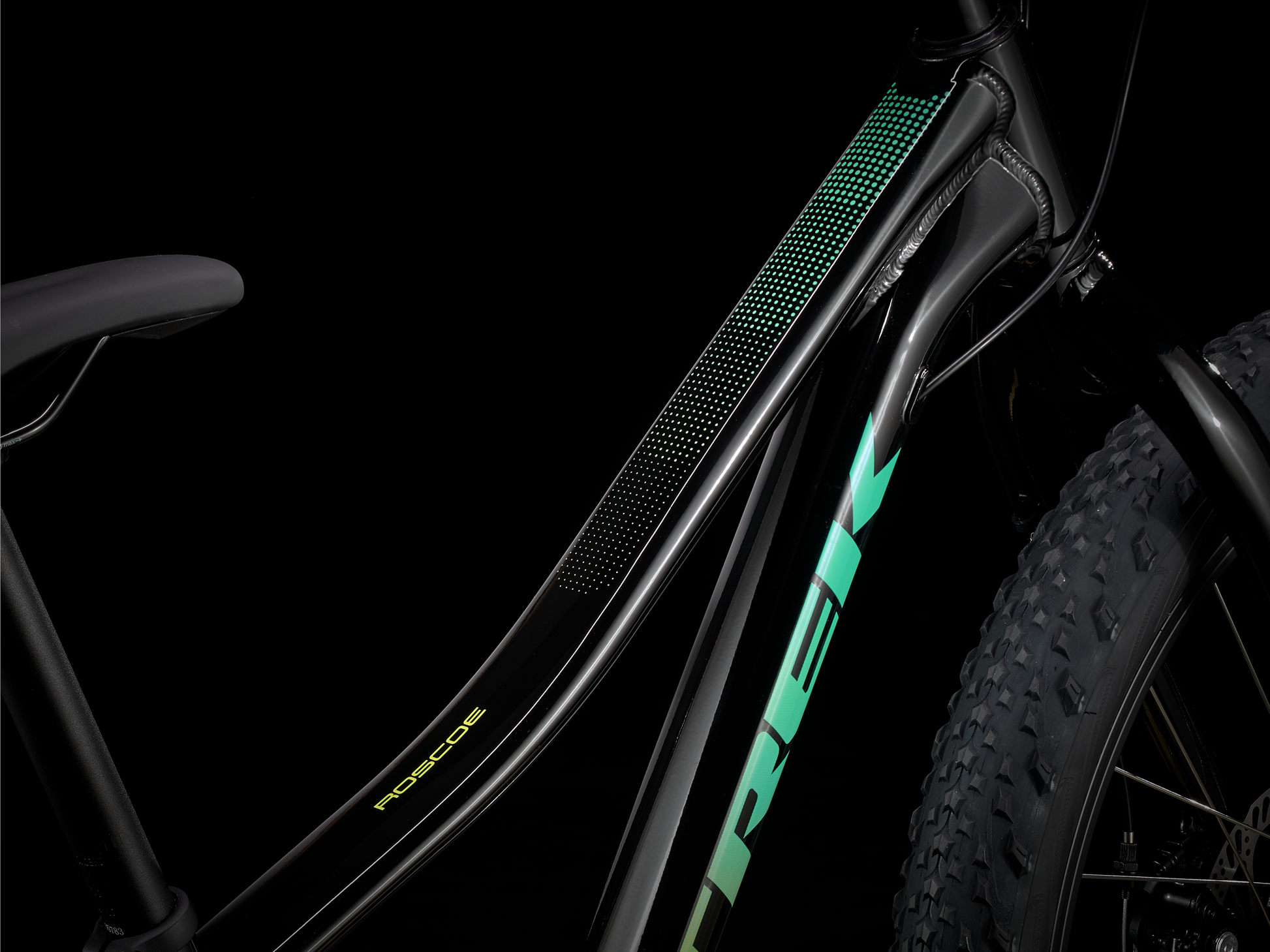 Trek Roscoe 24 