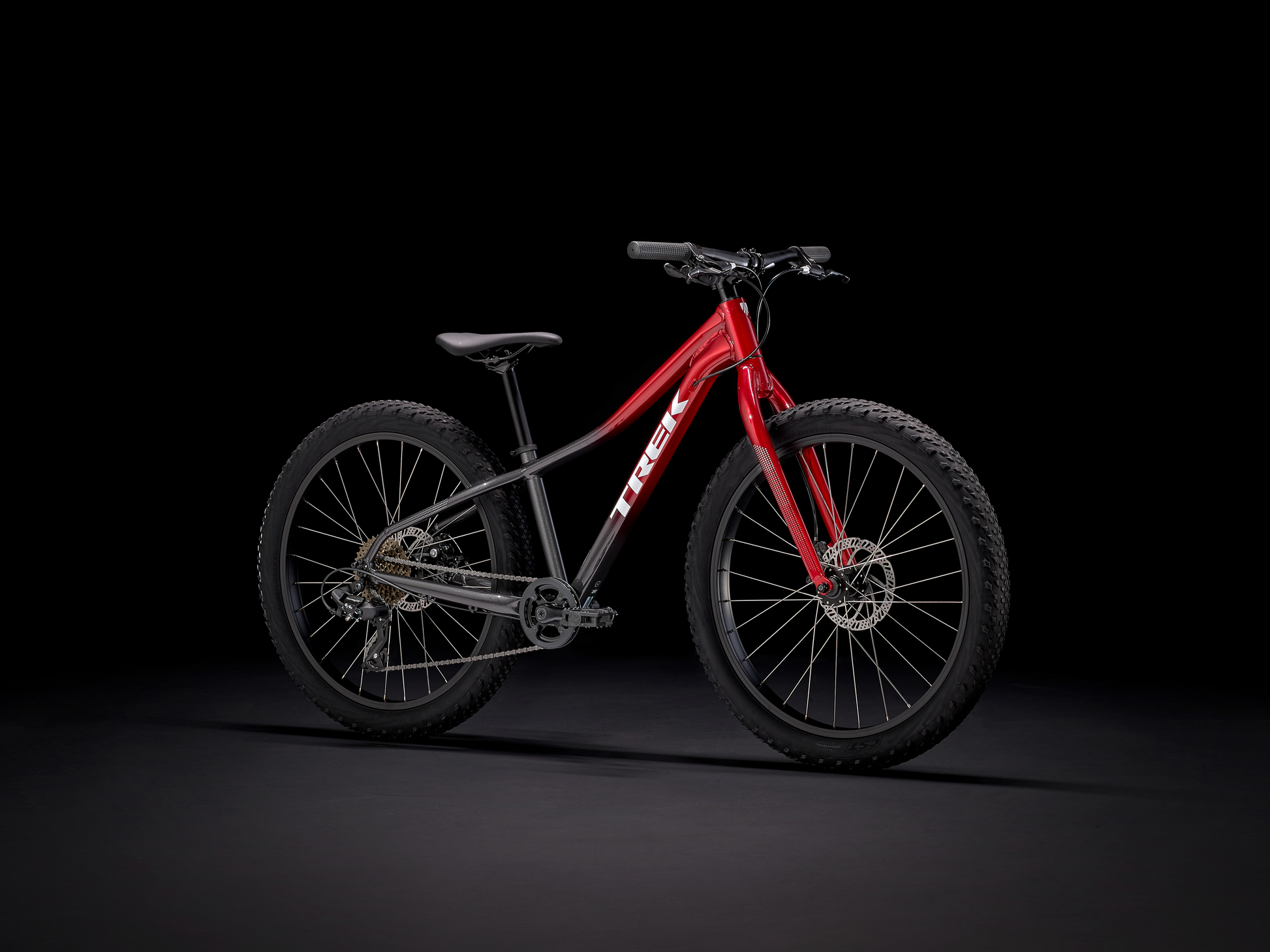 Trek Roscoe 24 